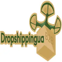 Dropshippingua
